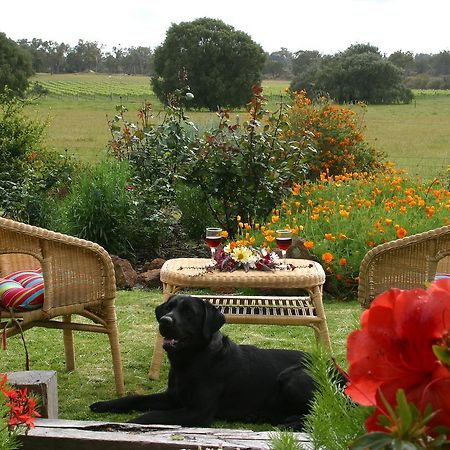 Silversprings Spa Retreat Pet Friendly Cottages And Glampings Metricup Esterno foto