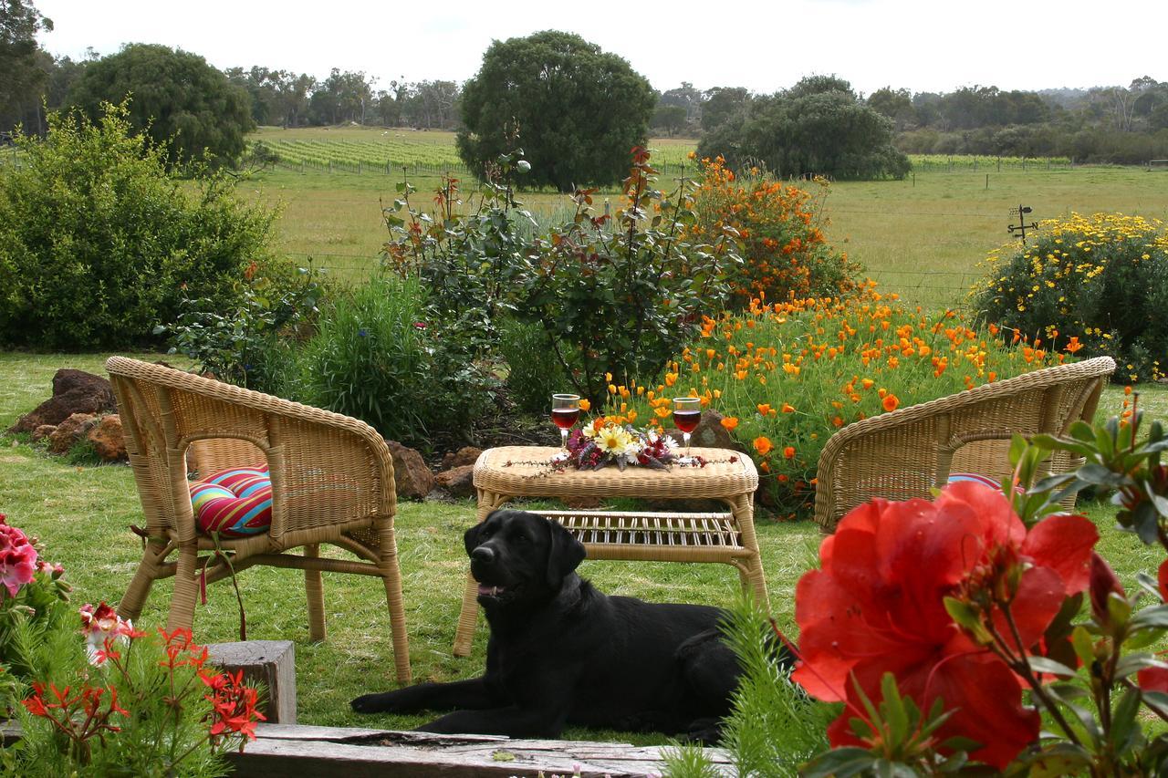 Silversprings Spa Retreat Pet Friendly Cottages And Glampings Metricup Esterno foto