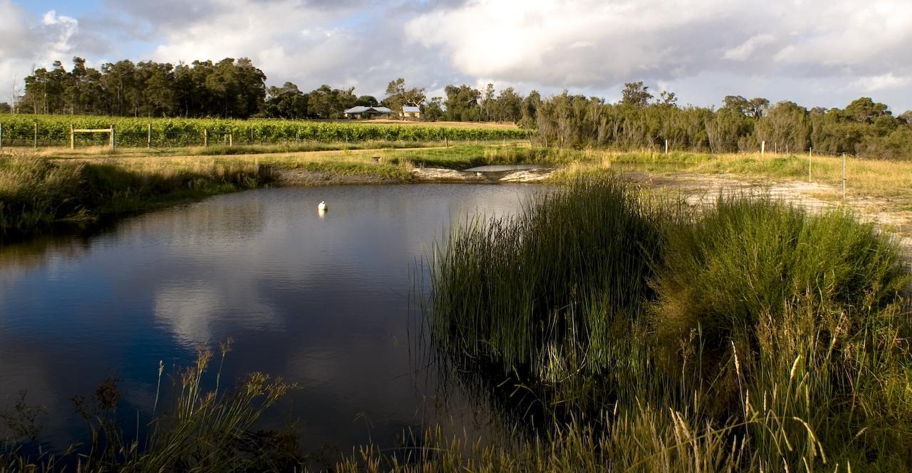 Silversprings Spa Retreat Pet Friendly Cottages And Glampings Metricup Esterno foto
